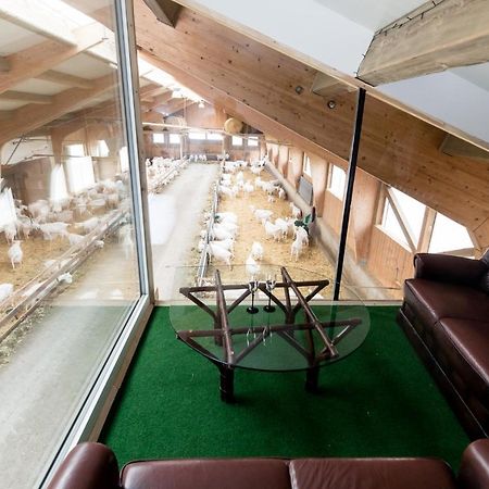 Auszeit Am Ziegenhof Nur Fuer Erwachsene Apartment Schlierbach ภายนอก รูปภาพ
