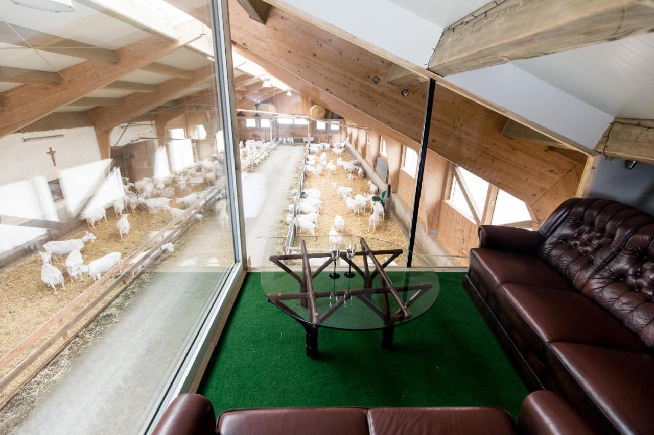 Auszeit Am Ziegenhof Nur Fuer Erwachsene Apartment Schlierbach ภายนอก รูปภาพ